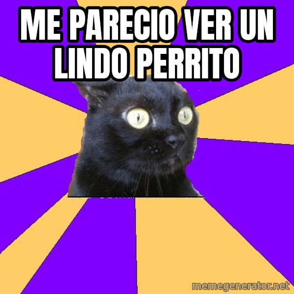 Anxiety Cat meme: Me parecio ver un lindo perrito