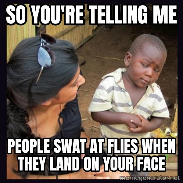 Skeptical third-world kid meme: so you're telling me / people swat at flies when they land on your face