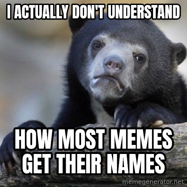 Confession Bear meme: I actually don't understand / how most memes get their names