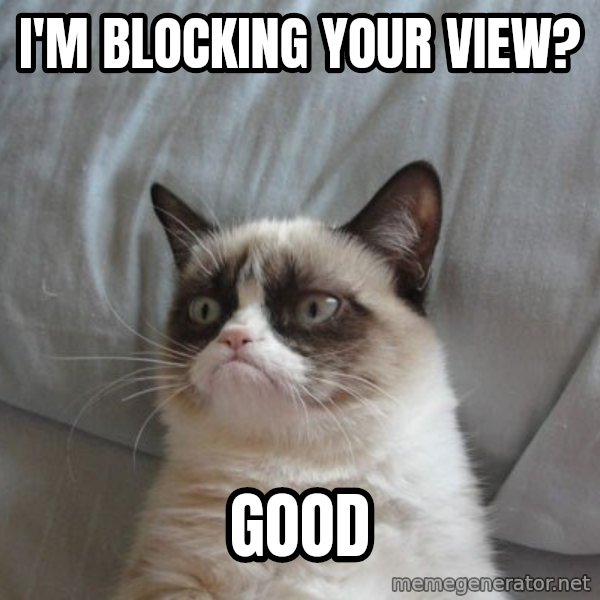 Grumpy cat good meme: I'm blocking your view? / GOOD