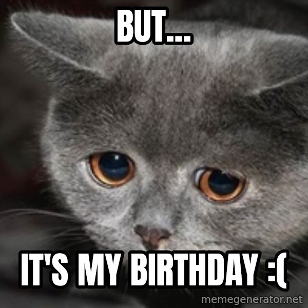 Sadcat meme: but... / It's my birthday :(