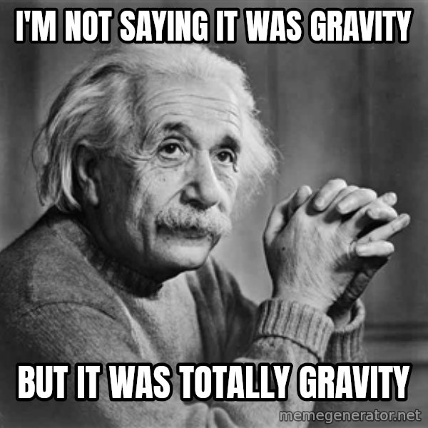 Albert Einstein meme: I'M NOT SAYING IT WAS GRAVITY / BUT IT WAS TOTALLY GRAVITY