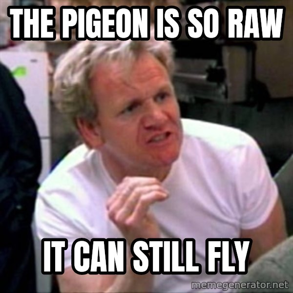 Gordon Ramsay meme: THe pigeon is so raw / it can still fly