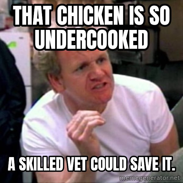 Gordon Ramsay meme: THAT CHICKEN IS SO UNDERCOOKED / A SKILLED VET COULD SAVE IT.