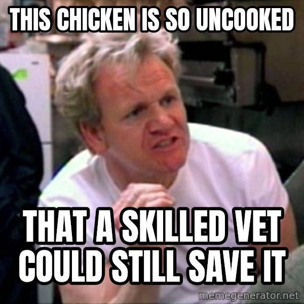 Gordon Ramsay meme: This chicken is so uncooked / That a skilled vet could still save it