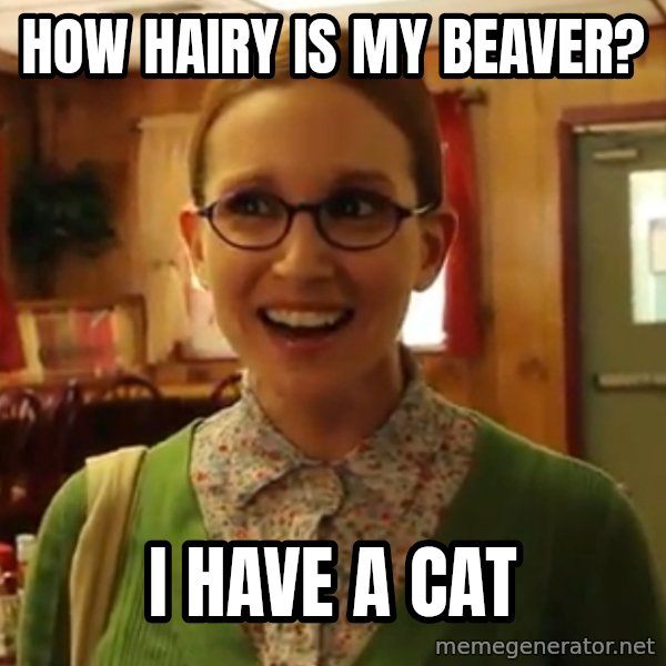 Sexually Oblivious Female meme: How hairy is my beaver? / i have a cat