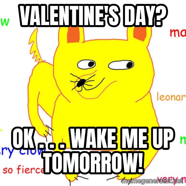 Grumpy Cat  meme: ValEntine's Day? / ok . . . wake me up tomorrow!