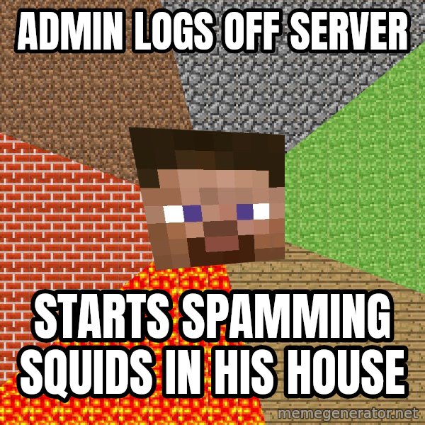 Minecraft Guy meme: ADMIN LOGS OFF SERVER / STARTS SPAMMING SQUIDS IN HIS HOUSE