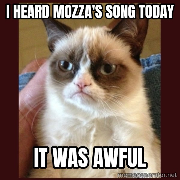 Tard the Grumpy Cat meme: i heard mozza's song today / it was awful
