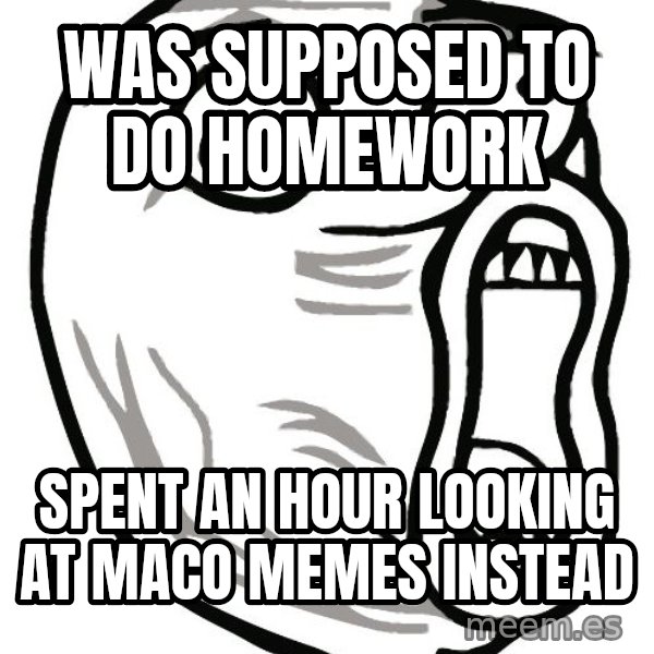 Lol Guy meme: WAs supposed to do homework / spent an hour looking at maco memes instead