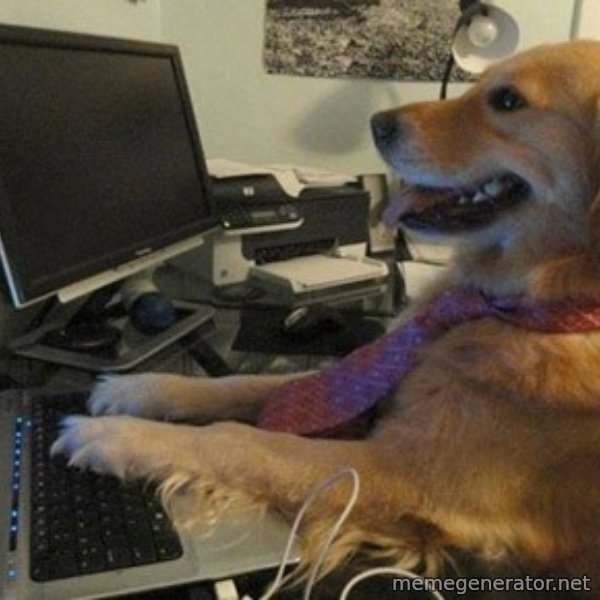 I have no idea what I'm doing - Dog with Tie meme: 