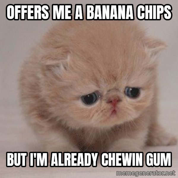 Sadcat meme: offers me a banana chips / but i'm already chewin gum
