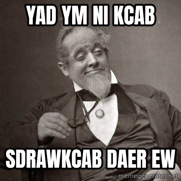 1889 [10] guy meme: yad ym ni kcab / sdrawkcab daer ew