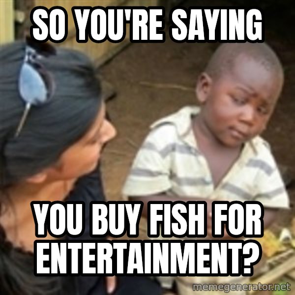 Skeptical african kid  meme: so you're saying / you buy fish for entertainment?