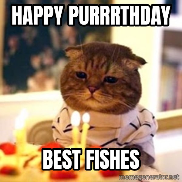 Birthday Cat meme: Happy Purrrthday / Best fishes