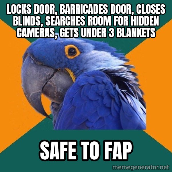 Paranoid Parrot meme: locks door, barricades door, closes blinds, searches room for hidden cameras, gets under 3 blankets / safe to fap