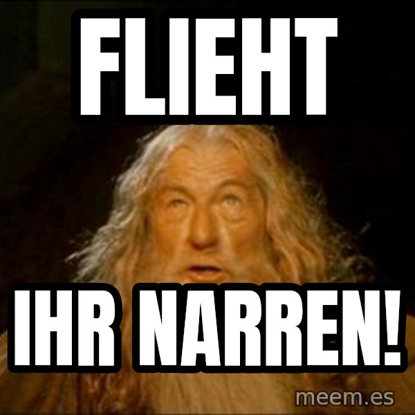 Gandalf meme: flieht / IHR NARREN!