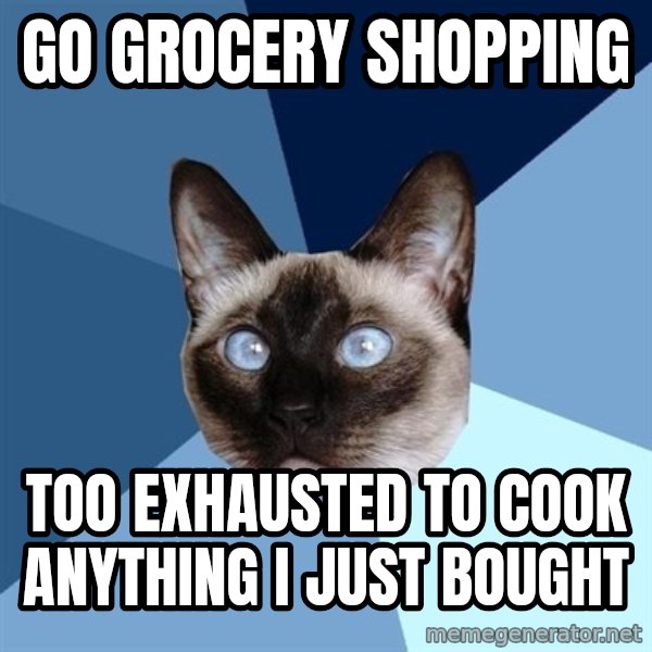 Chronic Illness Cat meme: go grocery shopping / too Exhausted to cook anything I just bought