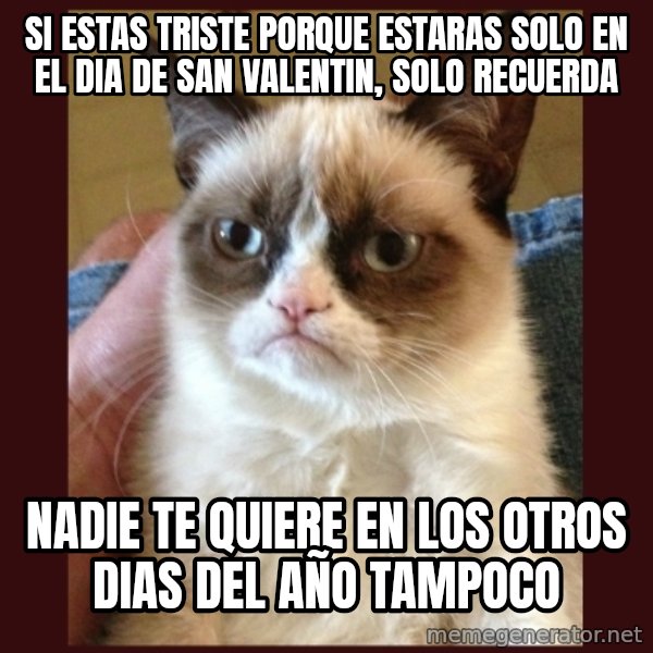 Tard the Grumpy Cat meme: si estas triste porque estaras solo en el dia de san valentin, solo recuerda / nadie te quiere en los otros dias del año tampoco