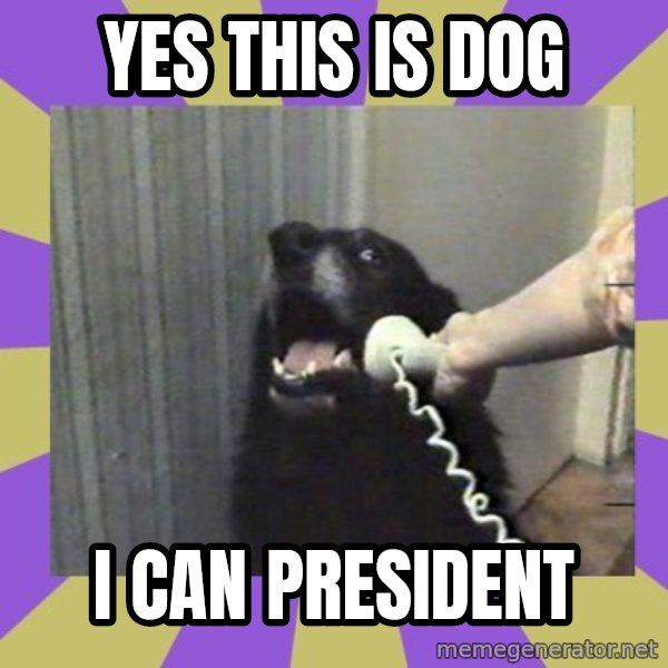 Yes, this is dog! meme: Yes this is dog / I can president