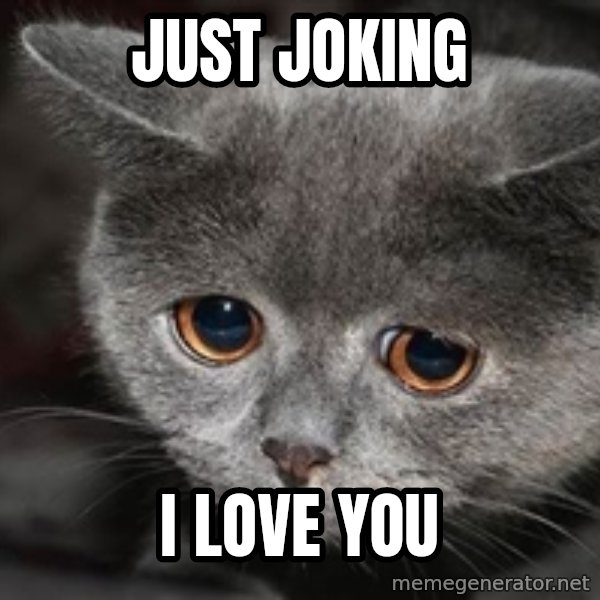Sadcat meme: JUST JOKING / I LOVE YOU