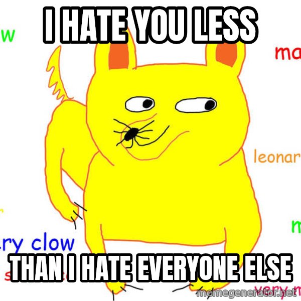 Grumpy Cat  meme: I hate you less / than i hate everyone else