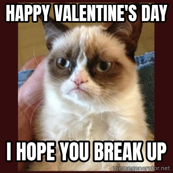 Grumpy Cat  meme: HAPPY VALENTINE'S DAY / I HOPE YOU BREAK UP
