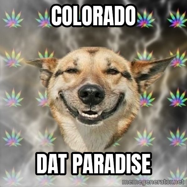 Stoner Dog meme: Colorado / dat paradise