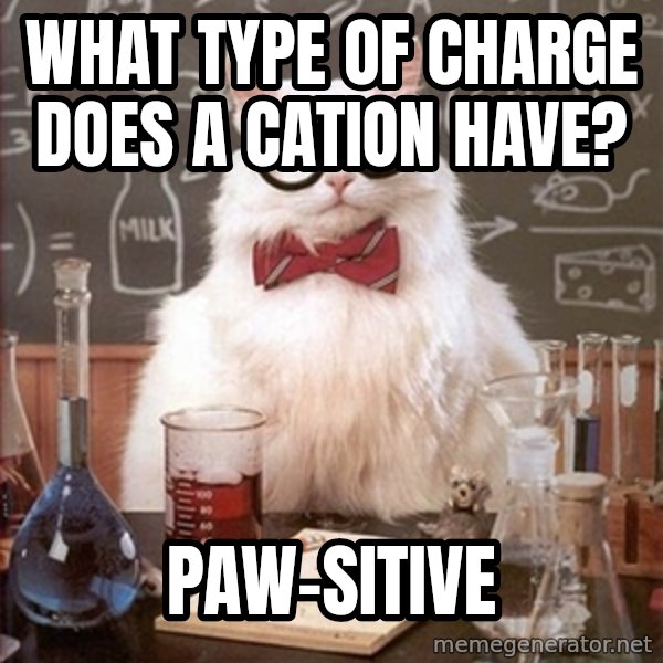 Science Cat meme: What type of charge does a Cation Have? / Paw-sitive