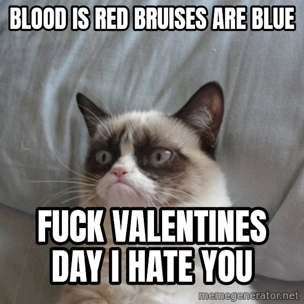Grumpy cat good meme: blood is red bruises are blue / fuck valentines day i hate you