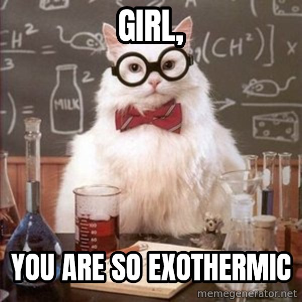Chemistry Cat meme: girl, / you are so exothermic