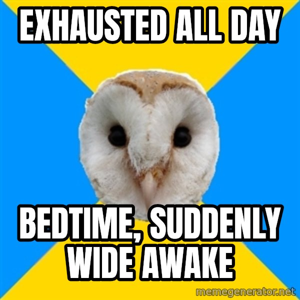 Bipolar Owl meme: Exhausted All Day / Bedtime, Suddenly wide awake