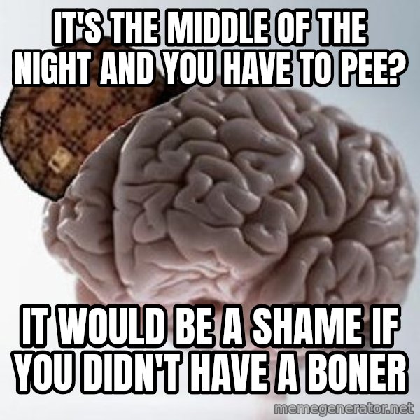 Scumbag Brain meme: It's the middle of the night and you have to pee? / It would be a shame if you didn't  have a boner