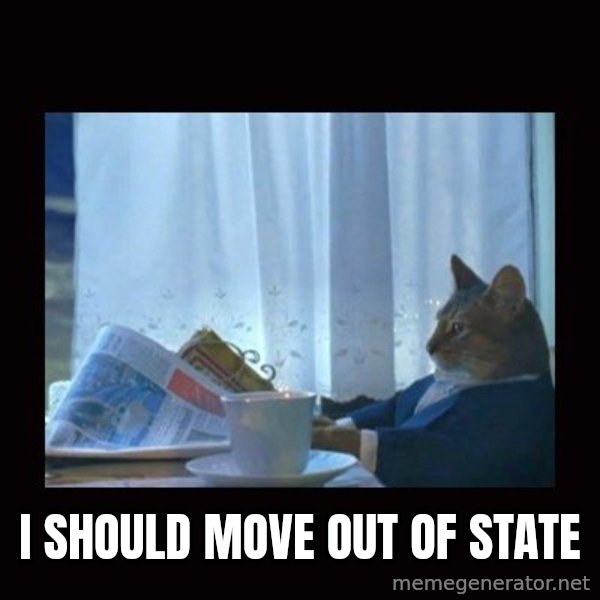 i should buy a boat cat meme: I should move out of state