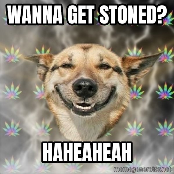 Stoner Dog meme: wanna get stoned? / haheaheah