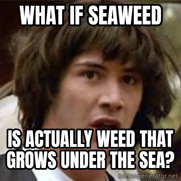 what if meme meme: What if seaweed / is actually weed that grows under the sea?