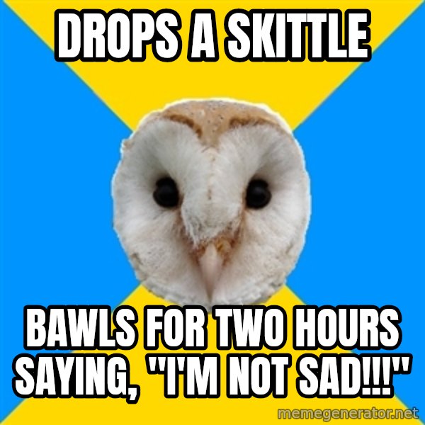 Bipolar Owl meme: drops a skittle / bawls for two hours saying, "i'm not Sad!!!"