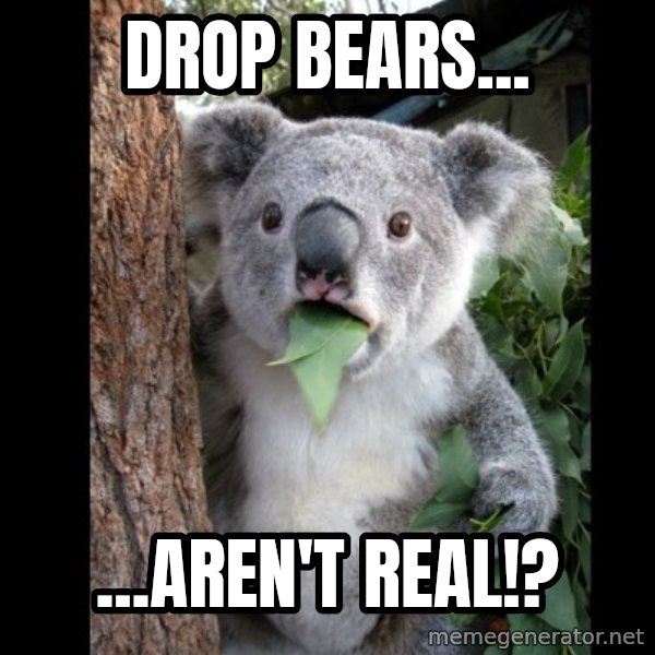 Koala can't believe it meme: drop bears... / ...aren't real!?