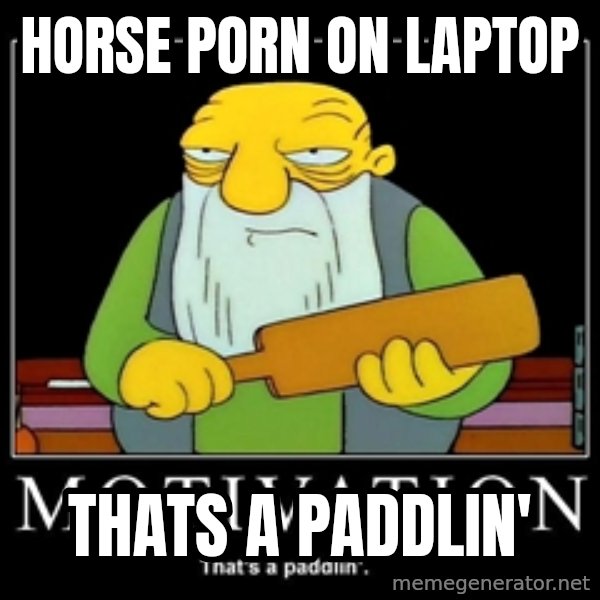 Thats a paddlin meme: Horse porn on laptop / THATS A PADDLIN'