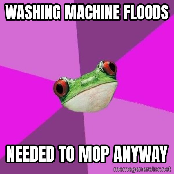 Foul Bachelorette Frog meme: Washing machine floods / needed to mop anyway
