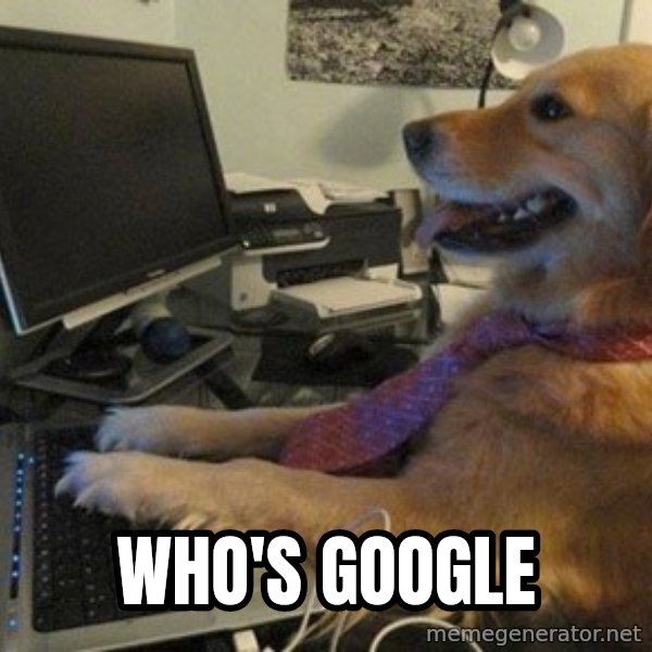 I have no idea what I'm doing - Dog with Tie meme: WHO'S GOOGLE