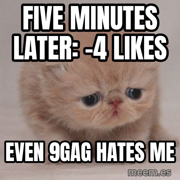 Super Sad Cat meme: five minutes later: -4 likes / even 9gag hates me