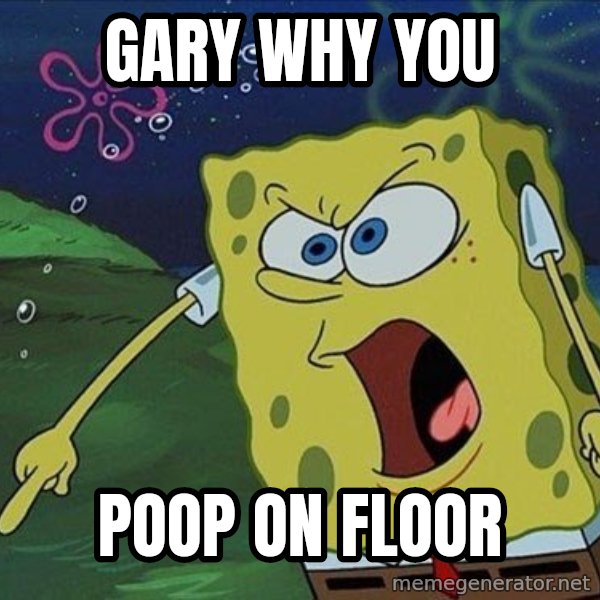 Spongebob Rage meme: gary why you / poop on floor