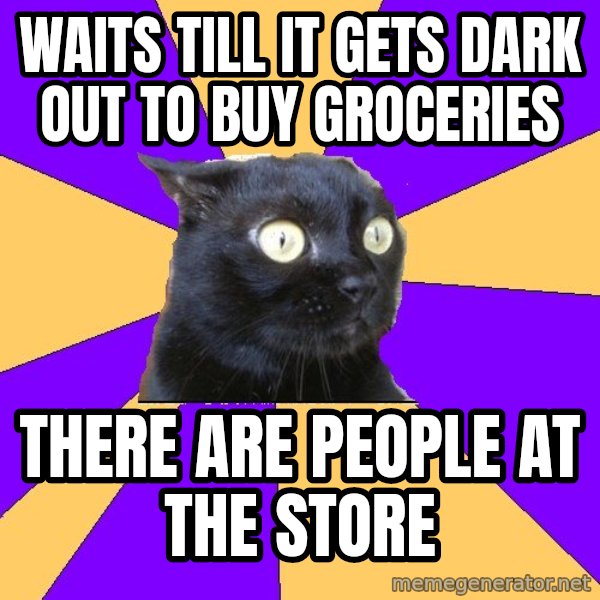 Anxiety Cat meme: waits till it gets dark out to buy groceries / there are people at the store