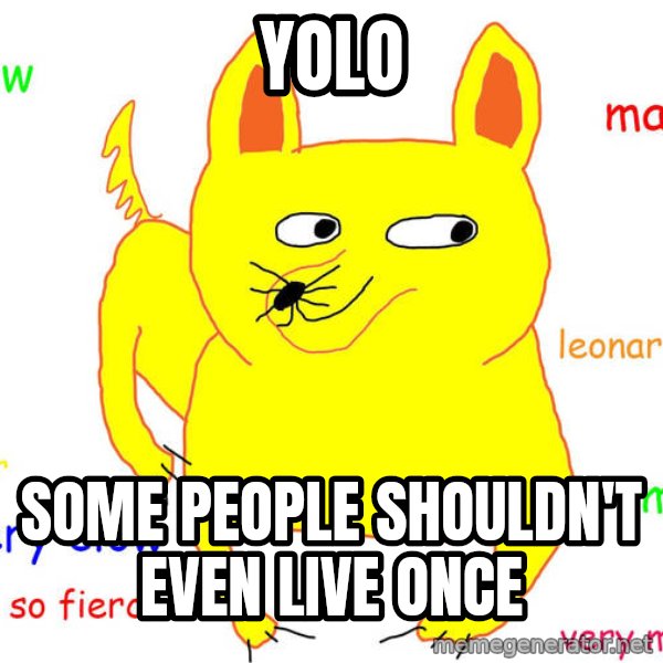 Grumpy Cat  meme: YOLO / Some people shouldn't even live once