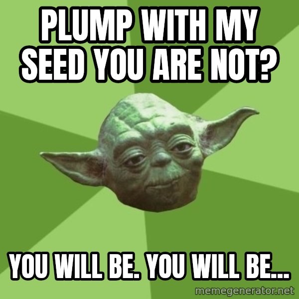 Advice Yoda Gives meme: plump with my seed you are not? / You will be. YOU will be...