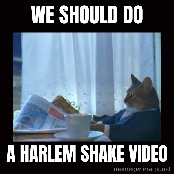 i should buy a boat cat meme: we should do / a harlem shake video