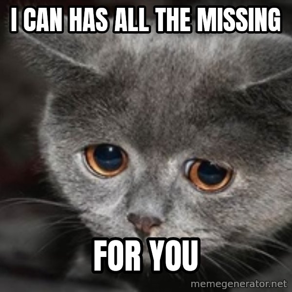 Sadcat meme: I can has all the missing / for you