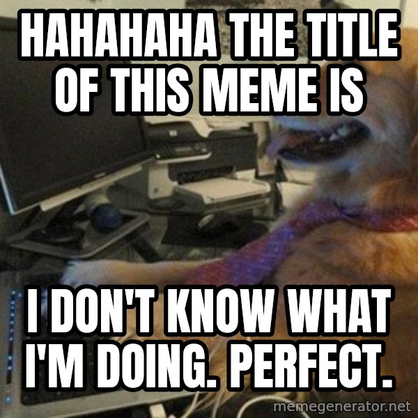 I have no idea what I'm doing - Dog with Tie meme: HAHAHAHA THE TITLE OF THIS MEME IS / I DON'T KNOW WHAT I'M DOING. PERFECT.