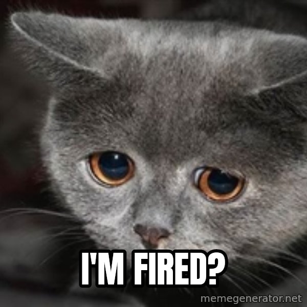Sadcat meme: I'm Fired?